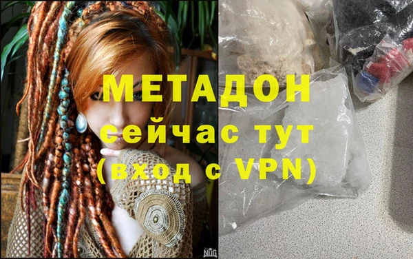 прущие грибы Пересвет