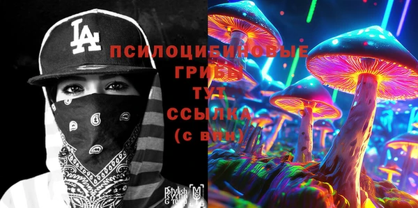 дурь Богородск