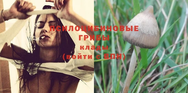 дживик Богданович