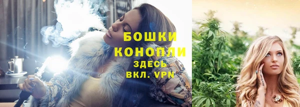 дурь Богородск