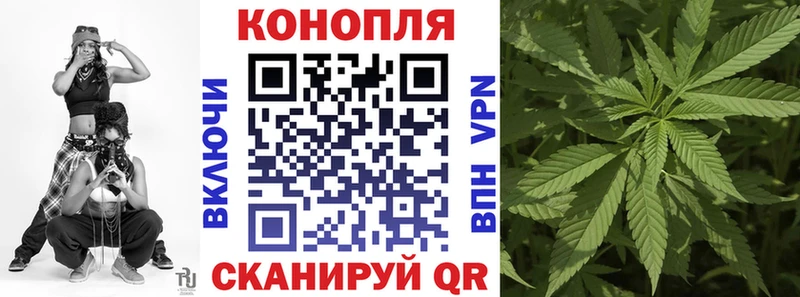 MEGA как войти  Краснознаменск  МАРИХУАНА MAZAR  как найти наркотики 